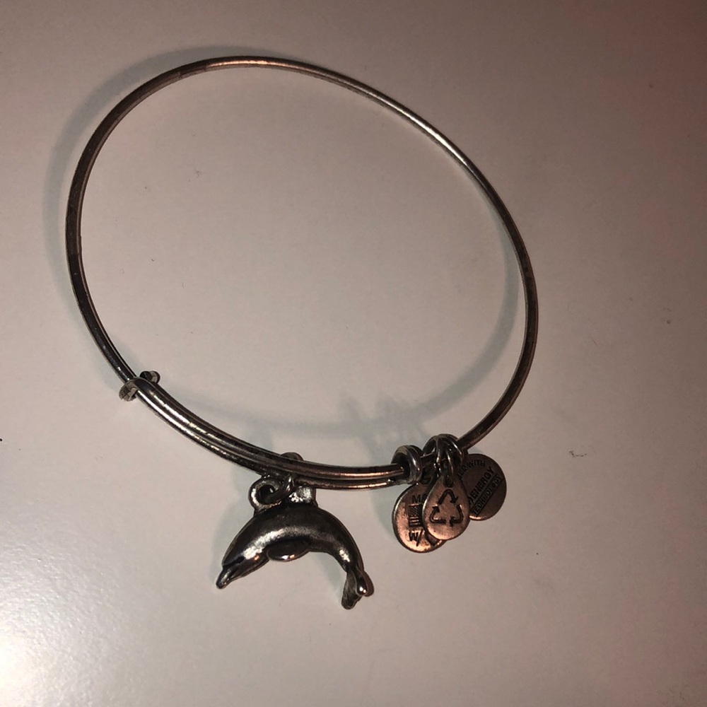 Dolphin 🐬 Alex And Ani Charm Bracelet